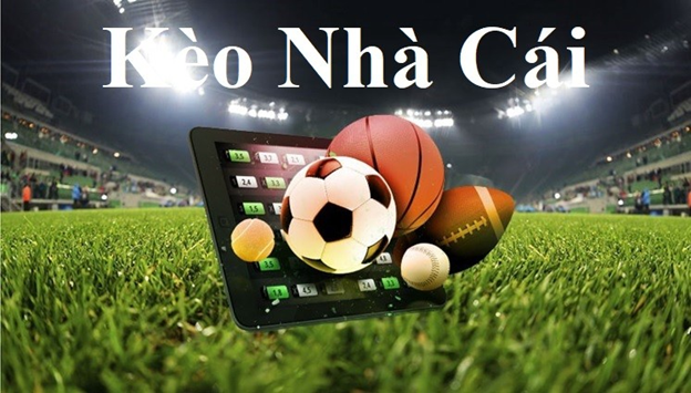 Kết Quả Xổ Số Miền Nam Thứ 3 Hàng Tuần Punt Casino Kết Quả Xổ Số Miền Nam Thứ 3 Hàng Tuần Punt Casino